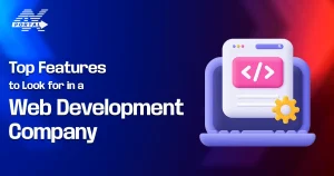 Features to Look for in a Web Development Company